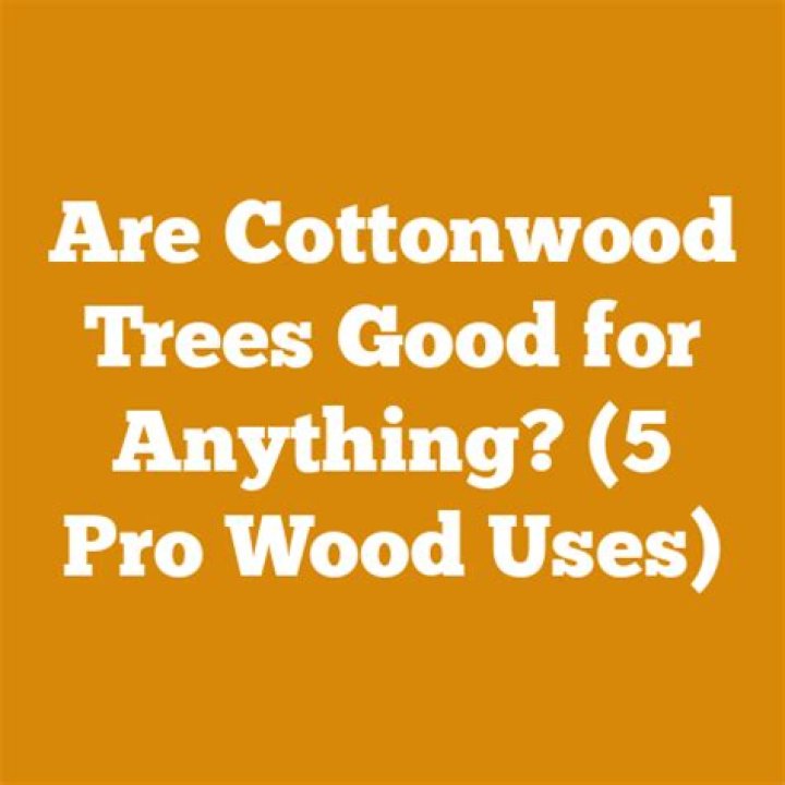 Are cottonwood trees good for anything?