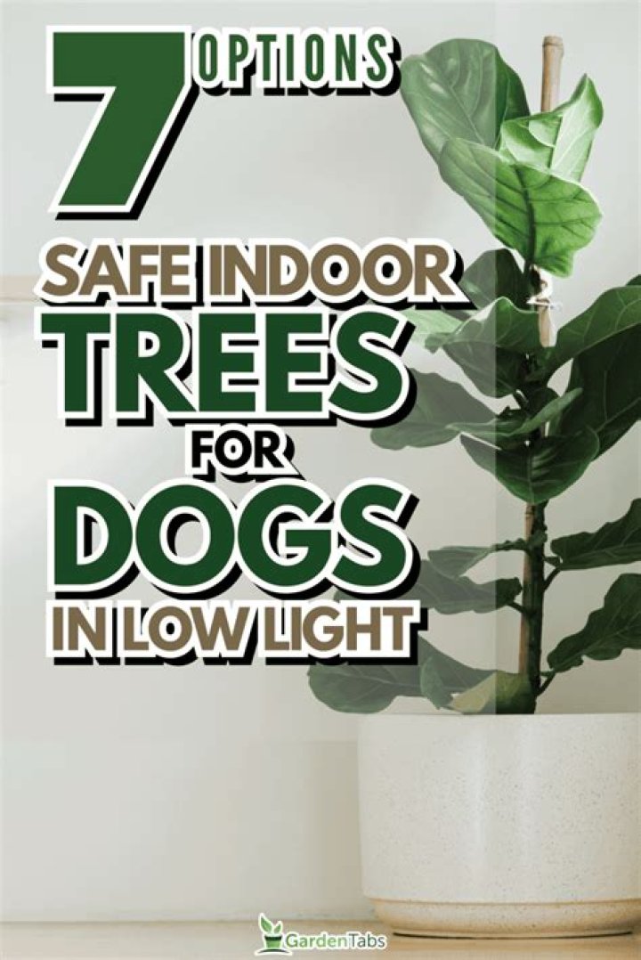 Are Fake trees safe for cats?