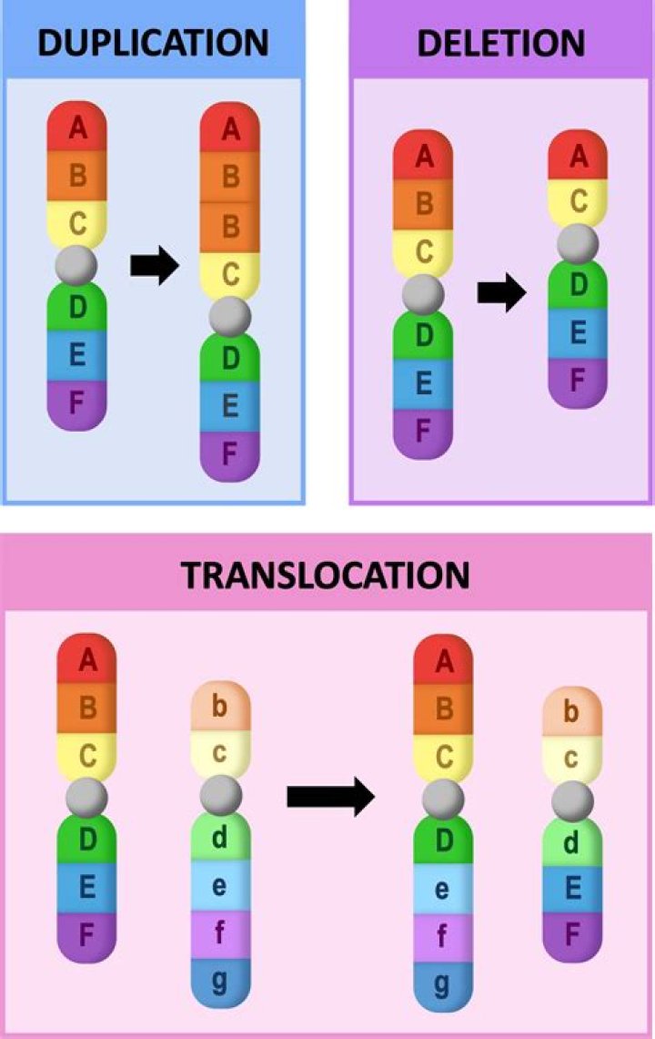 Are insertions and deletions point mutations?