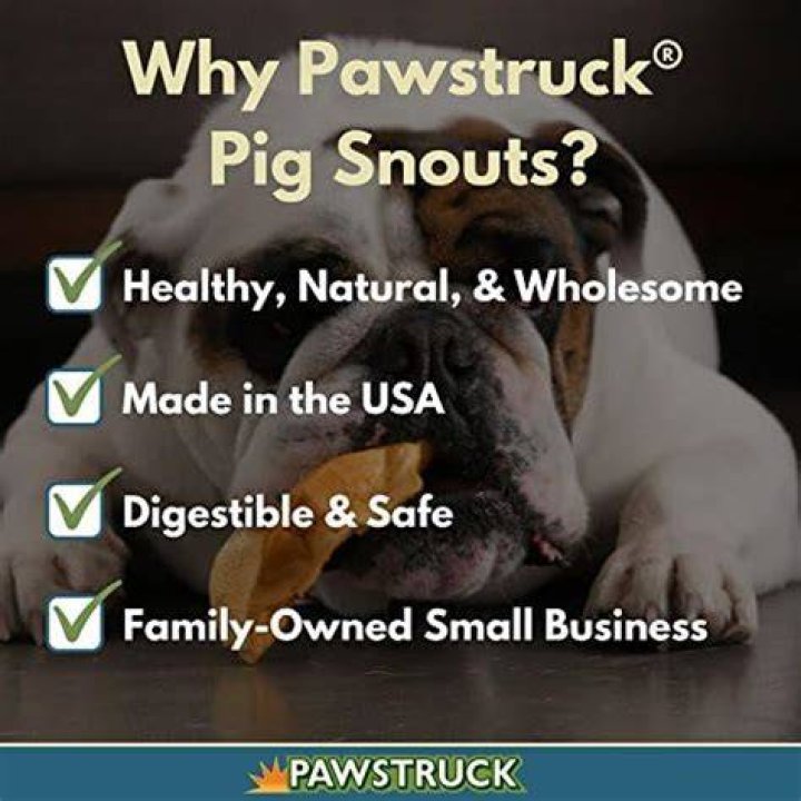 At what age can puppies eat pig snouts?
