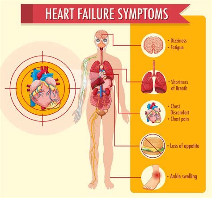 Can heart failure affect your stomach?