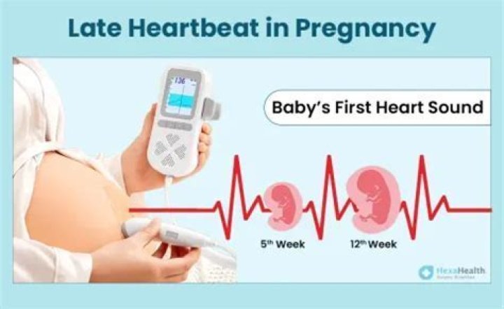 Can I feel my baby's heartbeat when I touch my stomach?