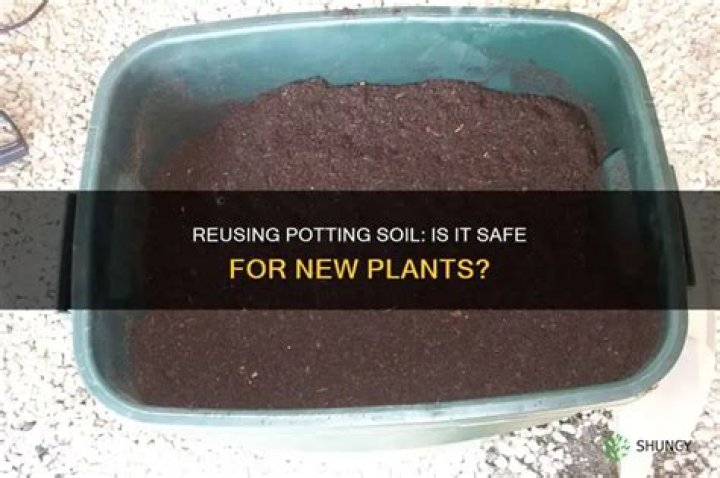 Can I reuse potting soil?