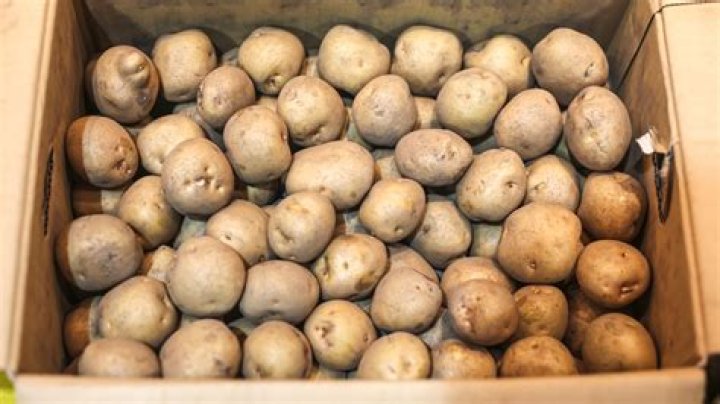 Can potatoes be stored in a cardboard box?