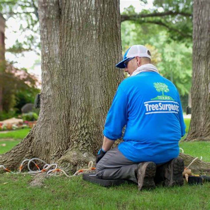 Can Tree surgeons still use red diesel?