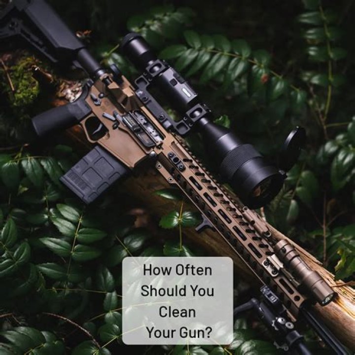 Can you clean your gun too often?