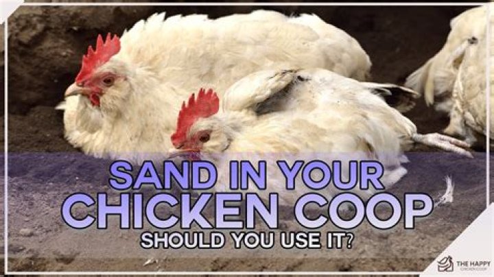 Can you put baking soda in a chicken coop?