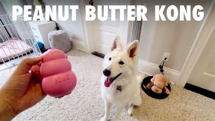 Can you put peanut butter in a Kong for a puppy?