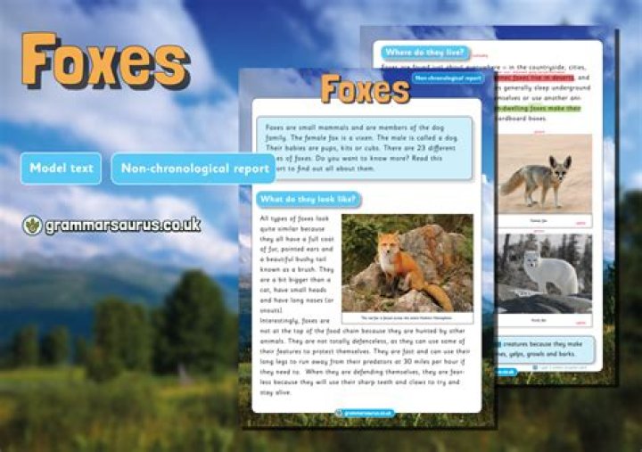 Can you report foxes?