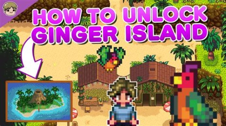 Can you stay on Ginger Island Stardew?