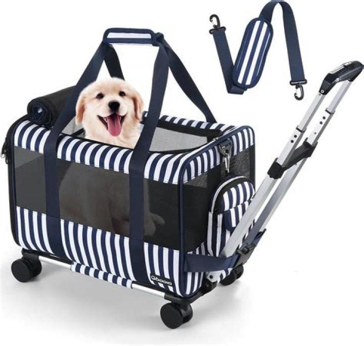 Can you take a pet carrier in an Uber?