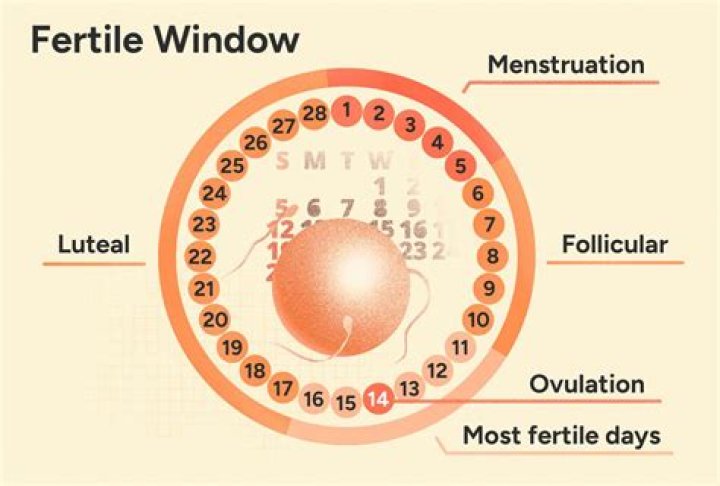 Can you tell the moment you conceive?
