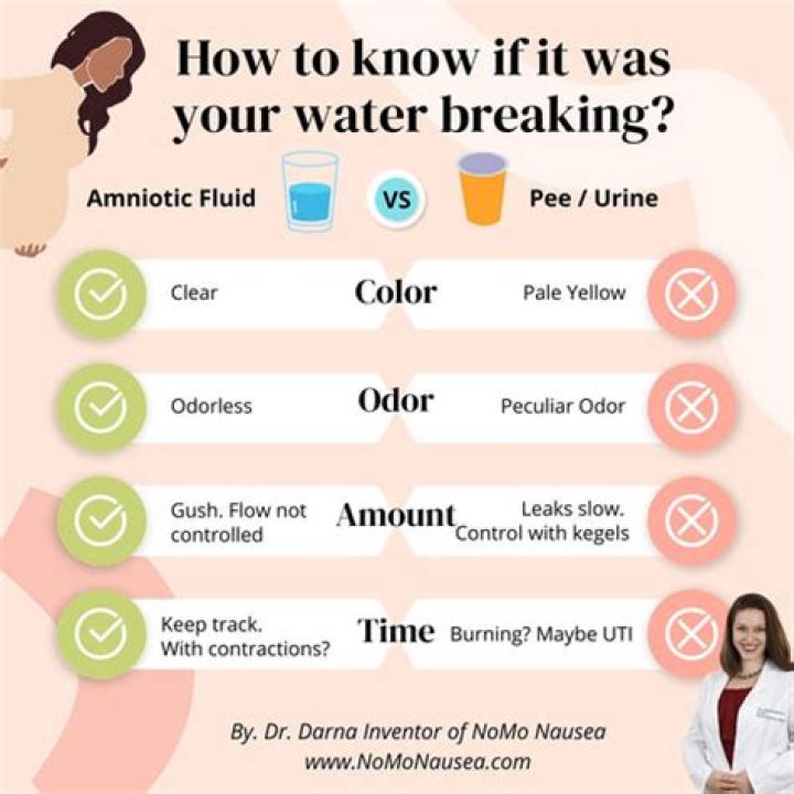 Did my water break or is it sperm?