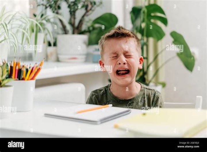 Do kids cry at school?