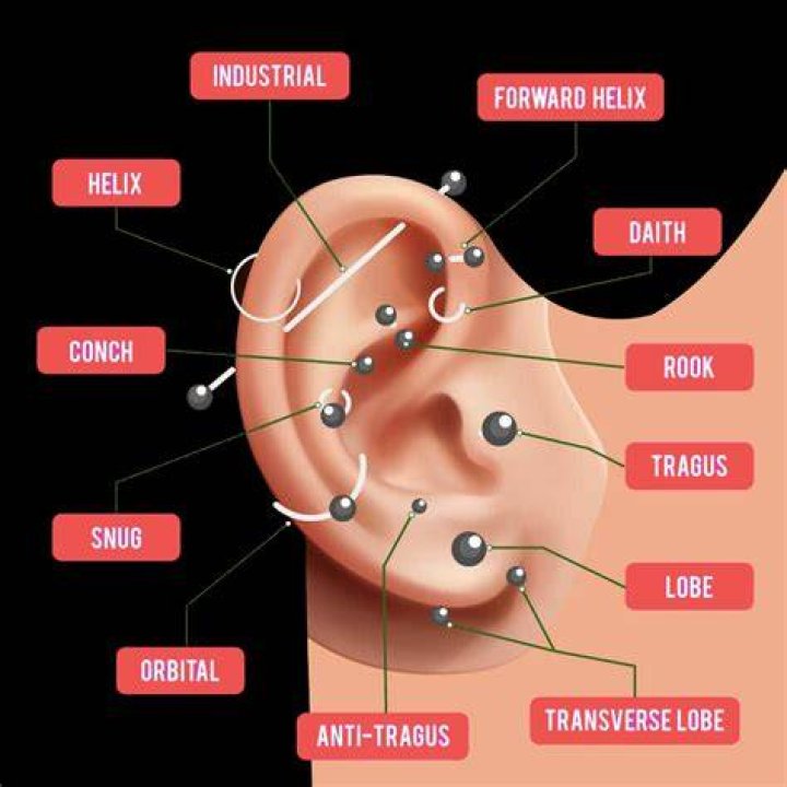 Do law firms care about piercings?