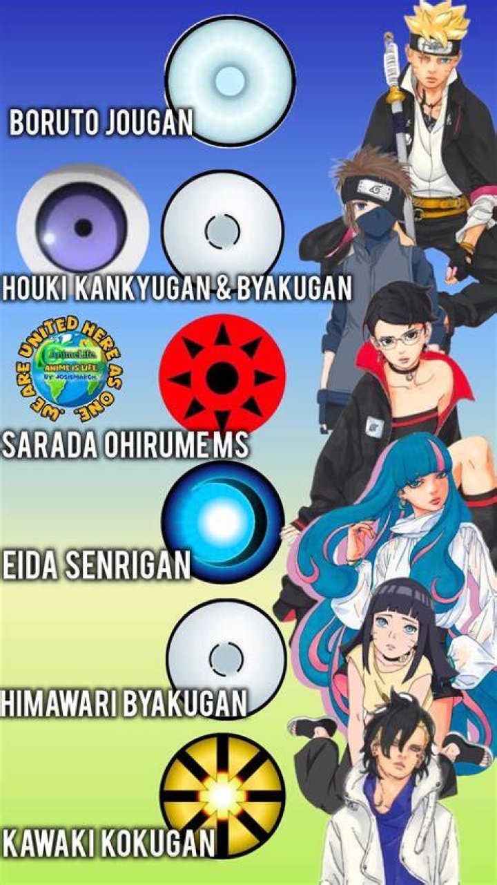 Does houki have Byakugan?
