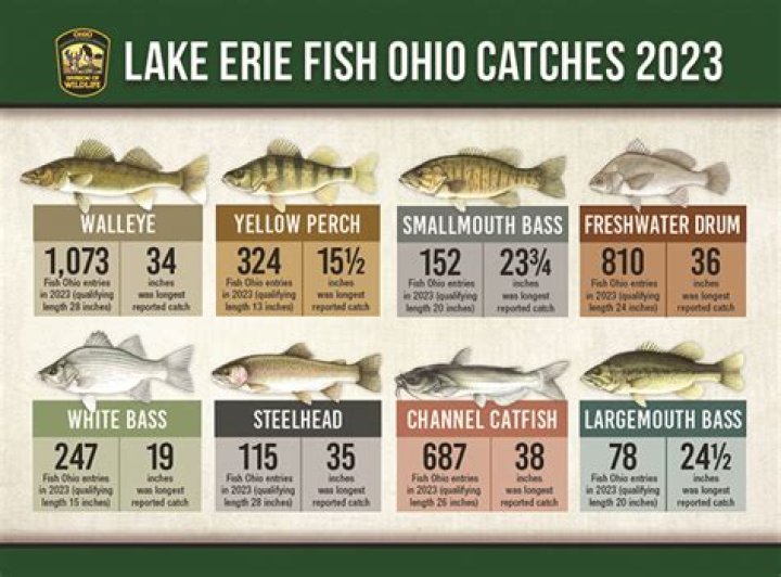 Does the Erie Canal have fish?