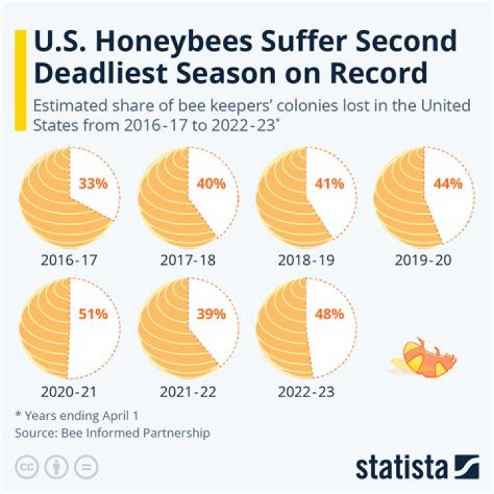 Does WIFI affect bees?