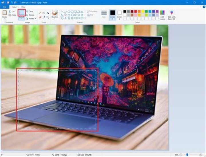 How do I Crop a picture in Paint Windows 10?
