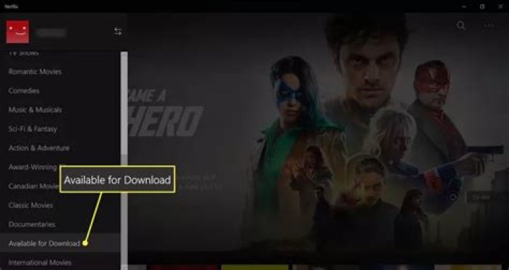 How do I download a Netflix movie?