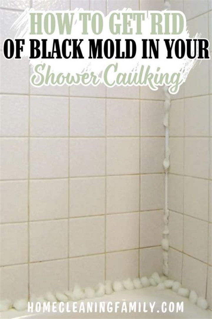 How do I get rid of black mold in my bathroom sink?