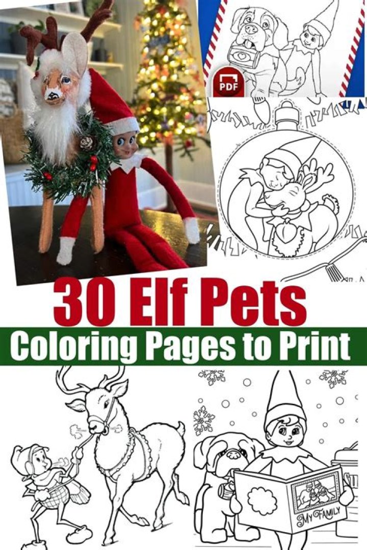 How do the Elf pets work?