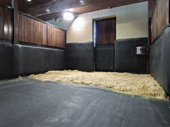 How do you comfort a new horse?