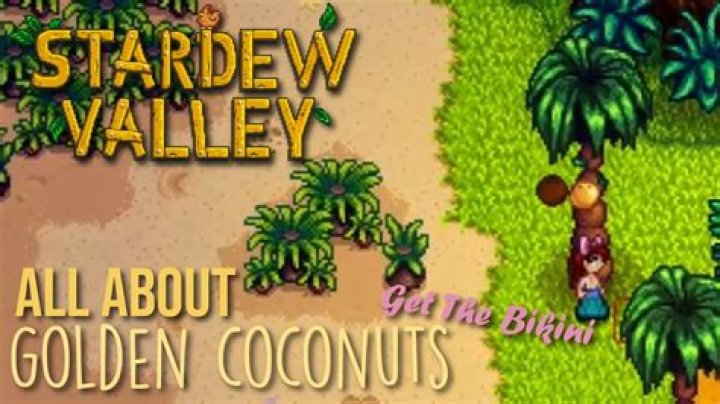 How do you get golden coconuts?