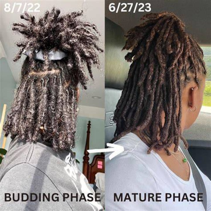 How long does budding last locs?