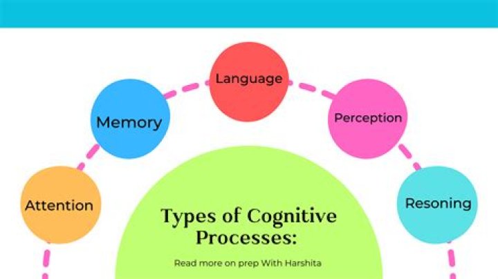 How many types of cognitive skills are there?