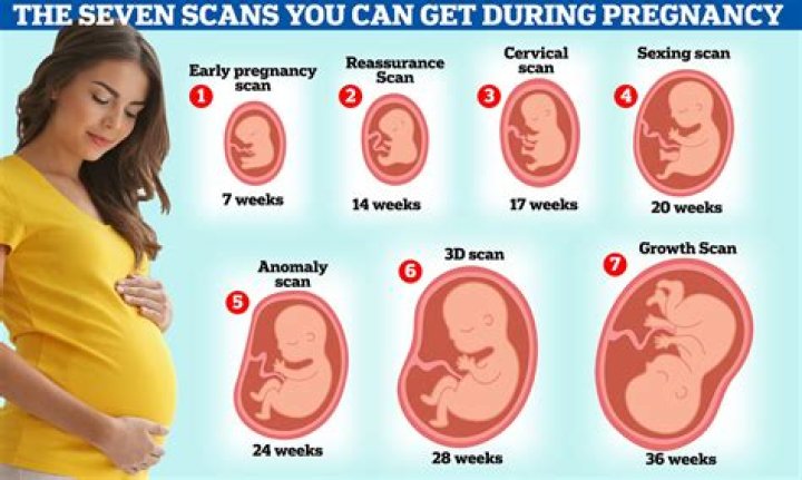 How many weeks are my babies?