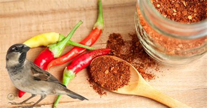 How much pepper do I add to bird seed?