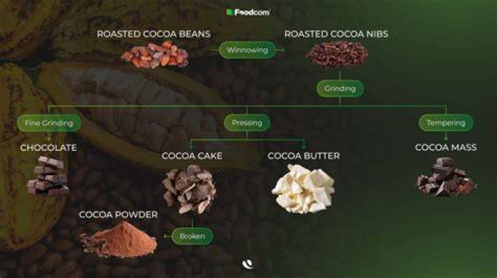 Is chocolate made from hair?