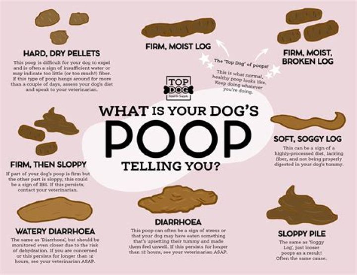 Is dog poop good for the soil?