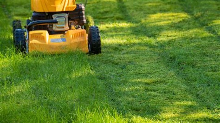 Is it bad to cut grass?