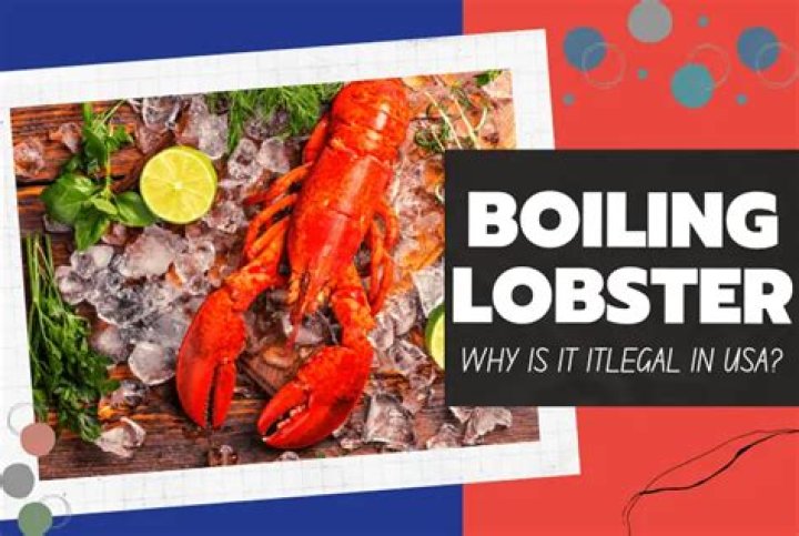 Is it illegal to boil lobsters alive in the USA?