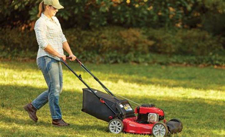 Is pushing a lawn mower good exercise?