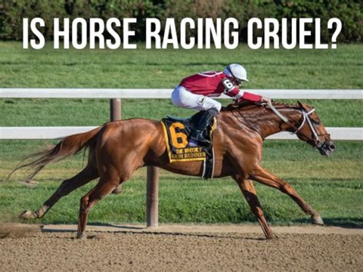 Is riding horses cruel to horses?