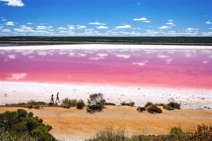 Is there a pink lake in Tasmania?