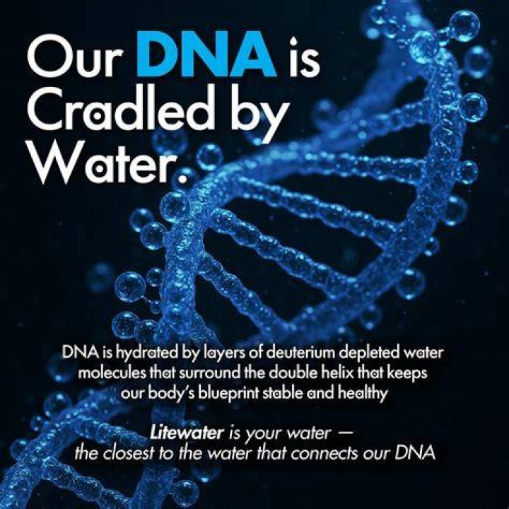 Is water have DNA?