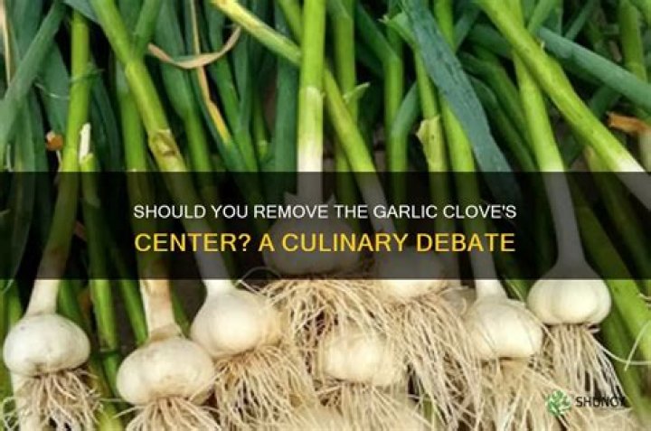 Should you remove the middle of garlic?