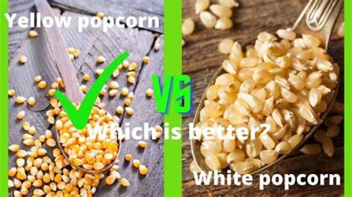 What's better white or yellow popcorn?