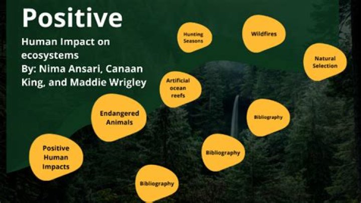 What are some positive impacts humans have on the environment?