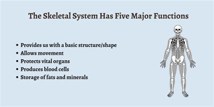 What are the functions of a review?