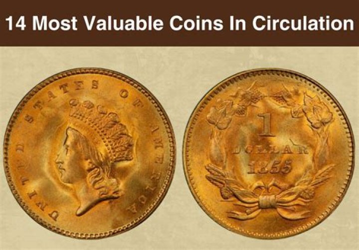 What are the most valuable assets in a time of crisis?