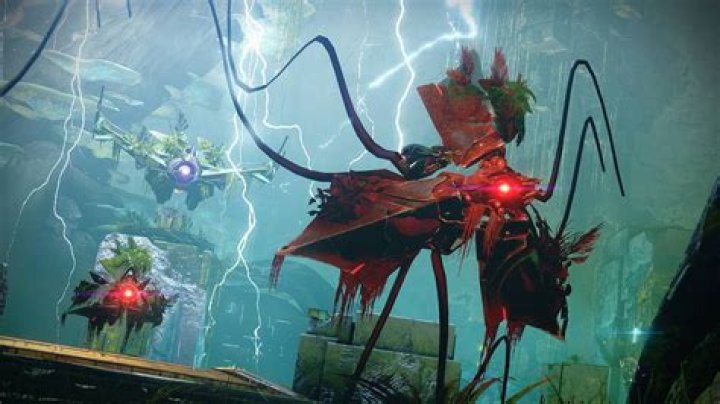 What are VEX harpies?