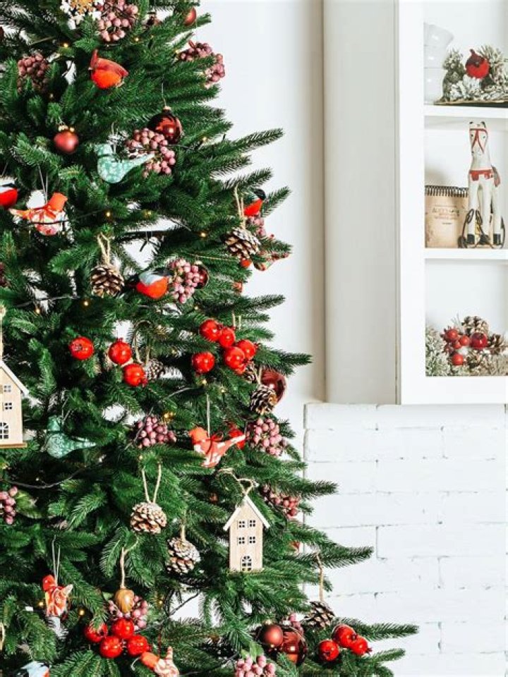 What do you feed a real Christmas tree?