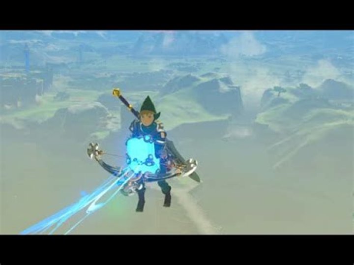 What does BLSS stand for Botw?