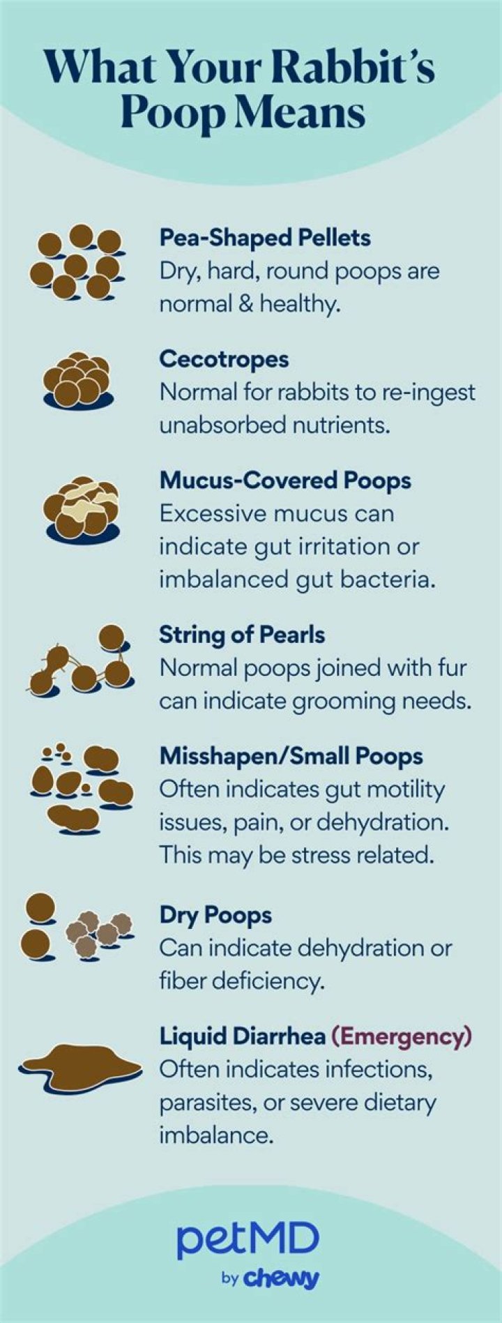 What does bunny poop mean?