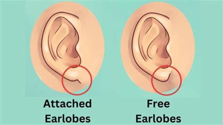 What does the elongated earlobe symbolize?